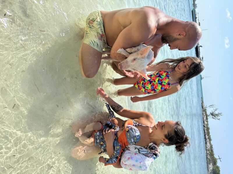 Swimming with the pigs, turtles and reef snorkeling!!! - A Detailed Look at the Tour Experience