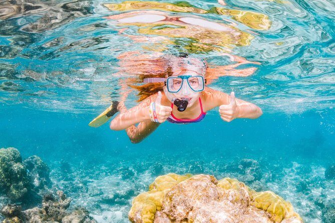 Swimming with the Whale Sharks - Ningaloo Reef (Exmouth) - An In-Depth Look at the Experience