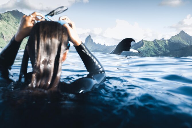 Swimming With Whales in Moorea (Half Day Tour) - Tour Details and Inclusions