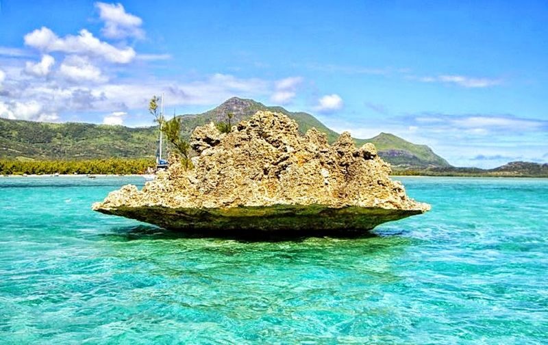 Swimming with Wild Dolphins, Lunch on Benitiers Island & Transfer in Mauritius - A west-coast day that starts before breakfast