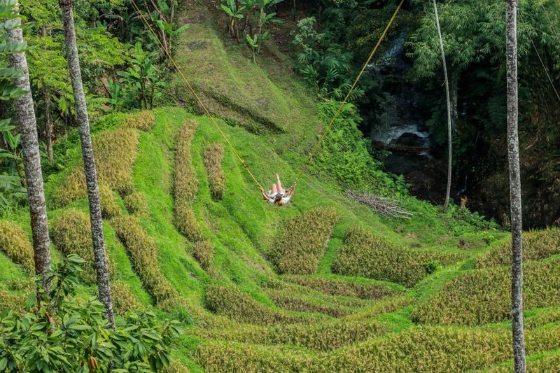 Swing and Waterfall Full Day Tour in Ubud - Bali Swing: views, queues, and photo stops