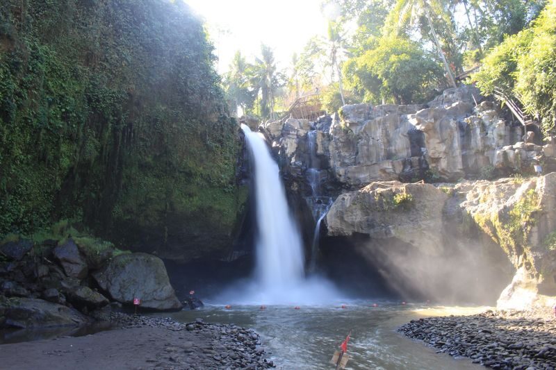 Swing and Waterfall Full Day Tour in Ubud - Your driver, guide, and the value of a private car