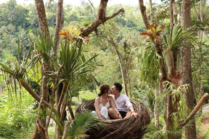 Swing and Waterfall Full Day Tour in Ubud - What the price includes, and where costs can grow