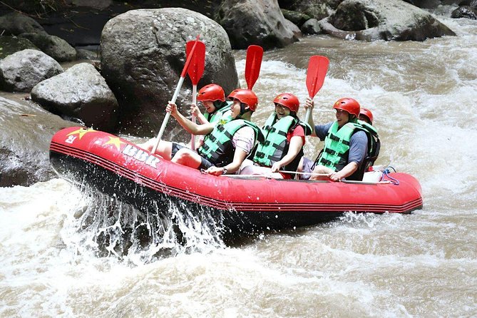 Swing Combine With Rafting - Thrilling Swing Experience