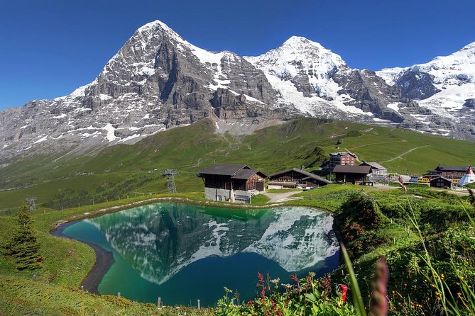 Swiss Alps Day Trip From Lucerne: Jungfraujoch and Bernese Oberland - Tour Experience and Shared Experience