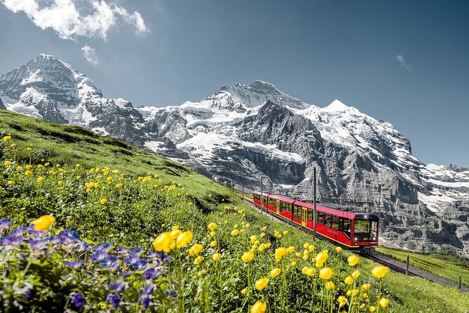 Swiss Alps Day Trip From Lucerne: Jungfraujoch and Bernese Oberland - Additional Tips and Information