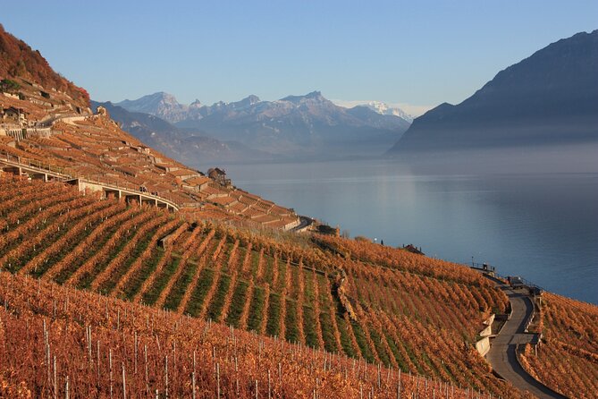 Swiss Cheese and Charcuterie Wine Tasting - Alcoholic Beverages