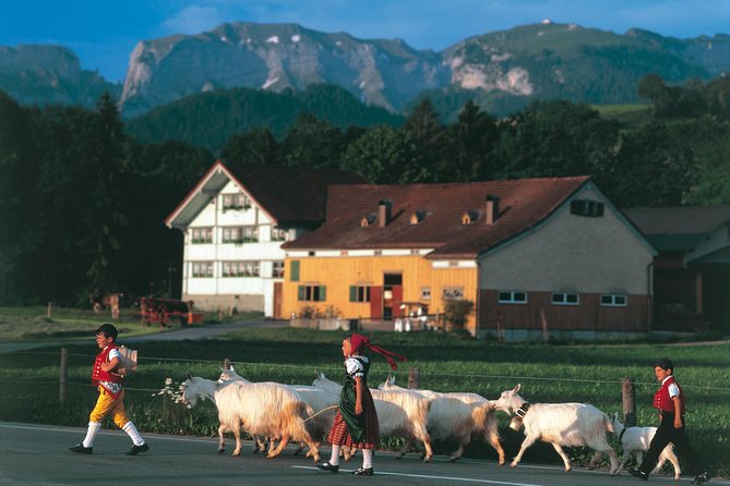 Swiss Cheese, Chocolates and Mountains Small-Group Tour From Zurich - Tour Overview and Inclusions
