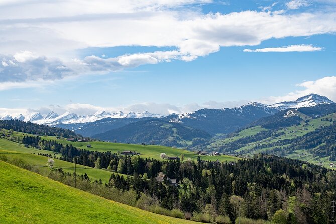 Swiss Cheese, Chocolates and Mountains Small-Group Tour From Zurich - Mixed Reviews on Chocolate and Cheese Stops