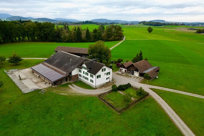 Swiss Farm & Appenzell Luxury Private Tour From Zurich - Luxury Amenities