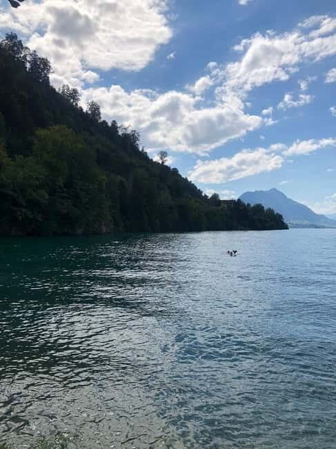 Swiss Highlights: Guided Zürich, Lucerne and Basel tour - Price and Value