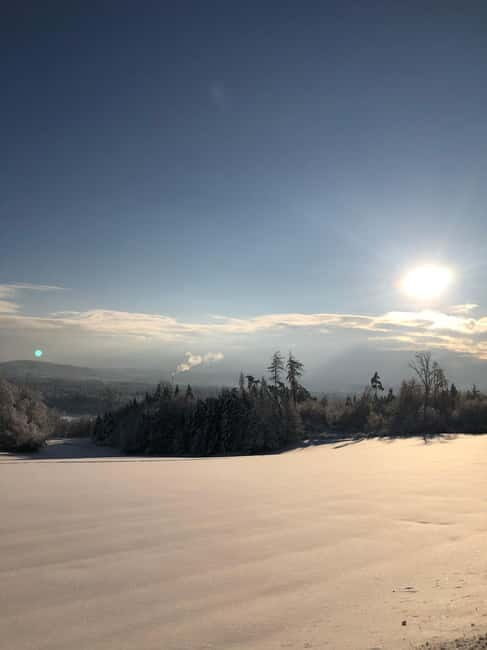 Swiss Highlights: Guided Zürich, Lucerne and Basel tour - Practical Advice for Travelers