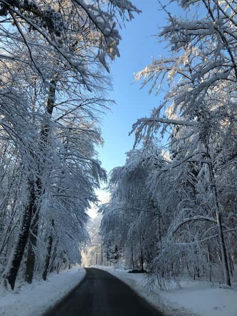 Swiss Highlights: Guided Zürich, Lucerne and Basel tour - Who Is This Tour Best For?