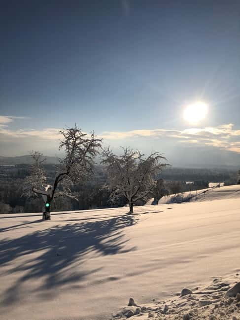 Swiss Highlights: Guided Zürich, Lucerne and Basel tour - Final Thoughts