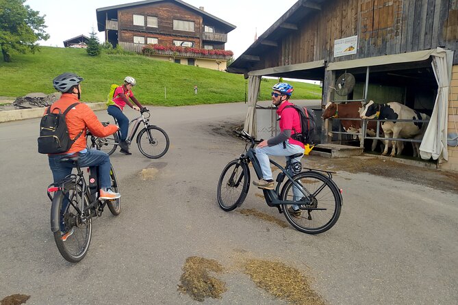 Swiss Knife Valley E-Bike Tour & Lake Lucerne Cruise - Logistics and Pickup Information