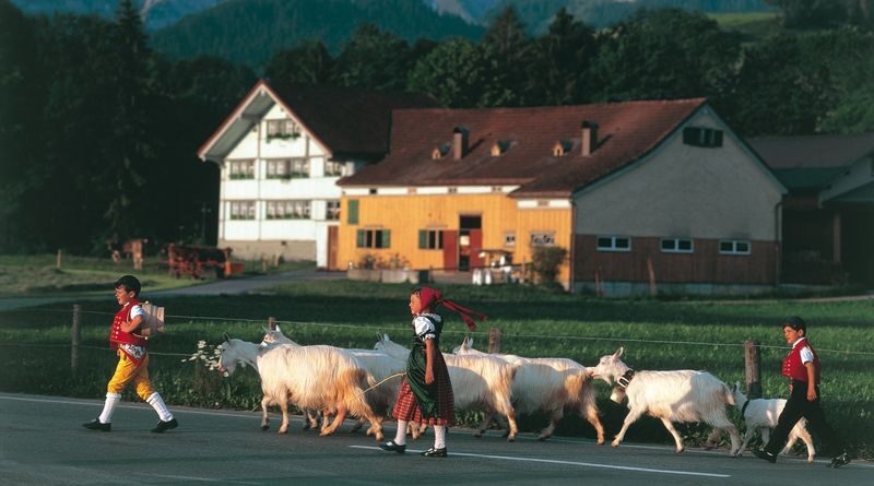 Swiss Mountain, Farm Visit and Cheese Tasting Tour in Appenzell - Appenzell village: painted facades and local customs