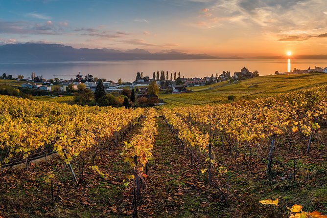 Swiss Riviera Private Tour: Lausanne, Montreux and Chateau Chillon - Cancellation Policy