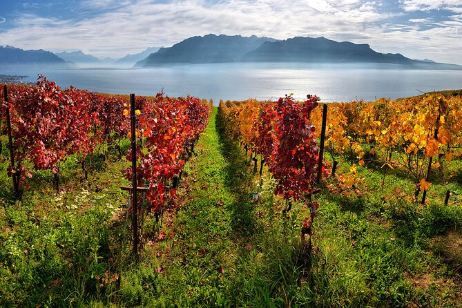 Swiss Wine Tasting at Lavaux Vineyards: Private Trip From Geneva - What To Expect