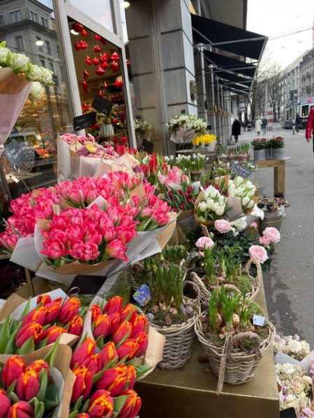 Switzerland From Expert. Daily or Hourly Tours - Flexible Travel Plans