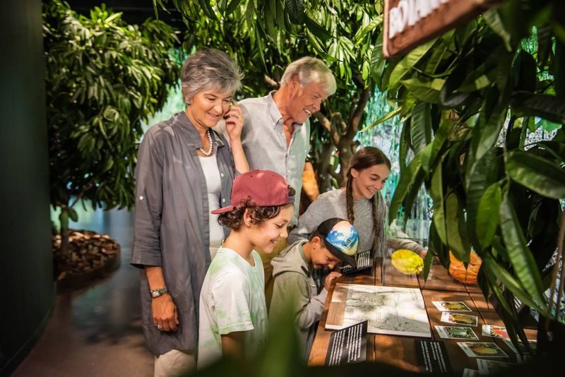 Switzerland: Lindt Home of Chocolate Museum Ticket - Allow time for the trip from Zurich