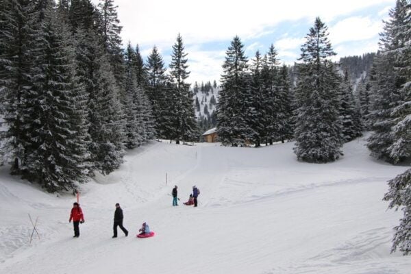 Switzerland: Private Sledging Day Tour - Frequently Asked Questions