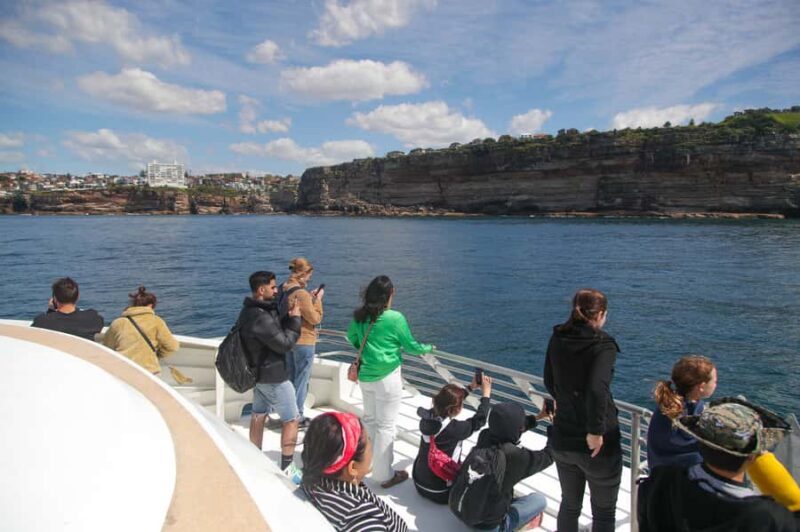 Sydney: 2.5-Hour Discovery Whale Watching Tour by Catamaran - Final Thoughts