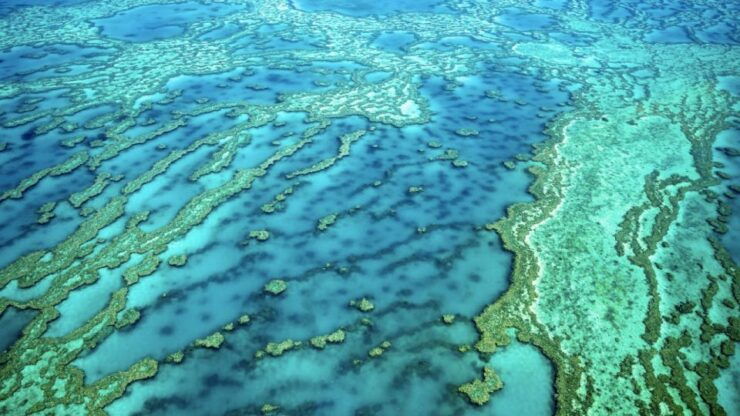 Sydney: 22-Day Ultimate Australian East Coast Tour to Cairns - Booking Details