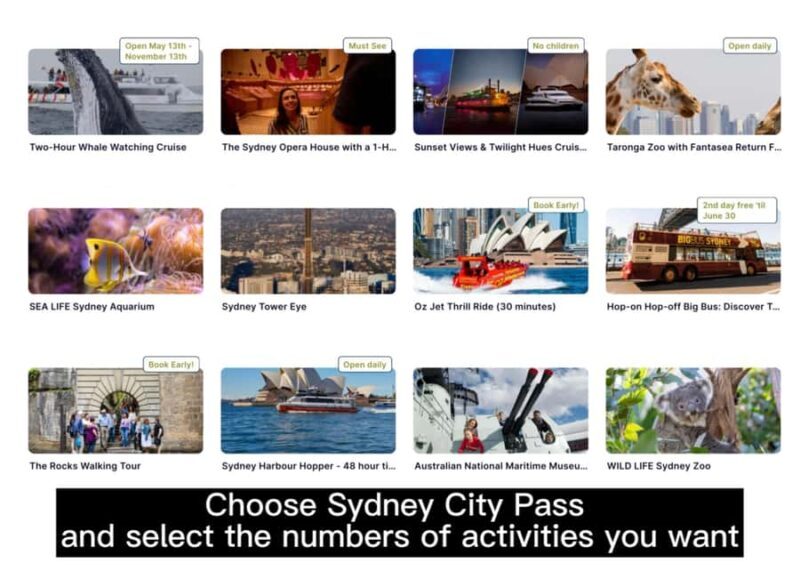 Sydney: 4-Day Tour with Hop-on Hop-off Bus & City Pass Combo - Authentic Insights from Reviews