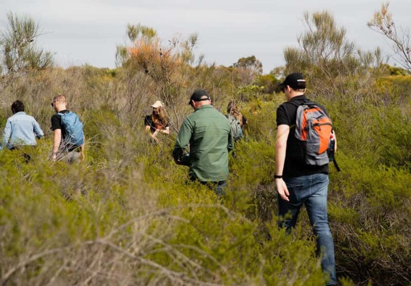 Sydney: Aboriginal Walking Tour with Smoking Ceremony - A Genuine Cultural Experience in Sydneys Natural Beauty