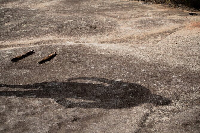 Sydney Aboriginal Walking Tour with Welcome Smoking Ceremony - Who Is This Tour Perfect For?