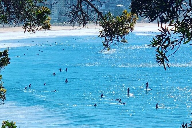 Sydney Arrival or Layover Private Sightseeing Tour - The Sum Up