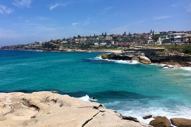 Sydney Beaches Half Day Drive and Walk Tour - Why This Tour Works Well