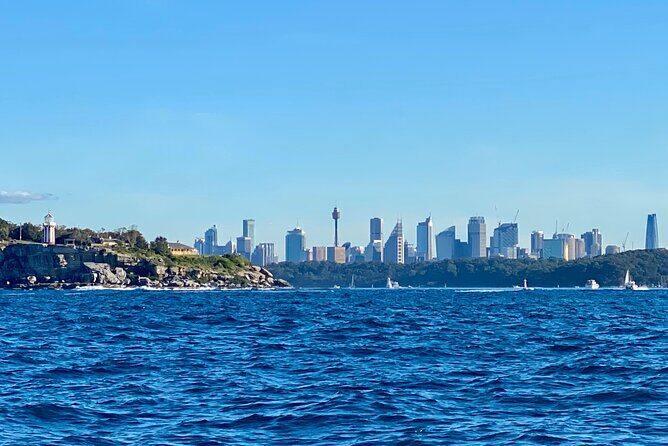 Sydney Beaches Half Day Drive and Walk Tour - Frequently Asked Questions