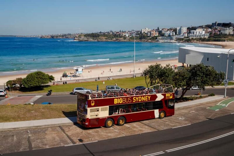 Sydney: Big Bus Hop-On Hop-Off Tour with Optional Cruise - The Harbour Cruise: A Water View of Sydney