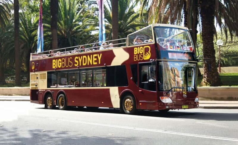 Sydney: Big Bus Hop-On Hop-Off Tour with Optional Cruise - Additional Highlights: Night Tour and More