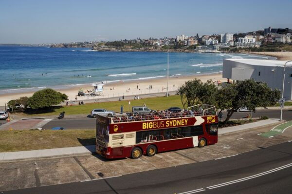 Sydney: Big Bus Open-Top Hop-on Hop-off Tour - Common Questions