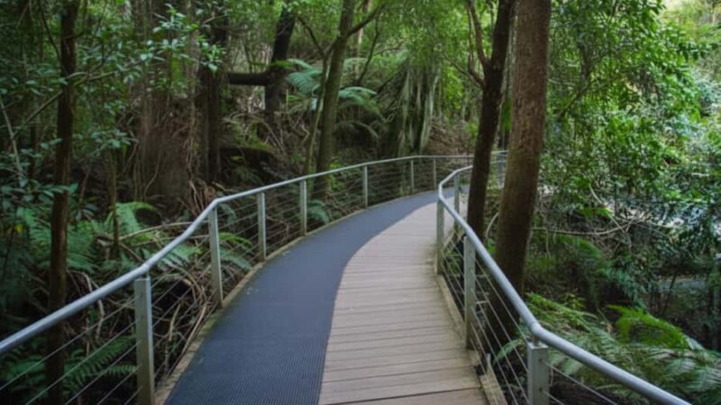 Sydney: Blue Mountains and F. Wildlife Park - Private Tour - FAQs