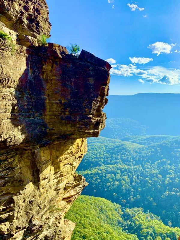 Sydney Blue Mountains Day Trip with Scenic World Entry - Who Is This Tour Best For?