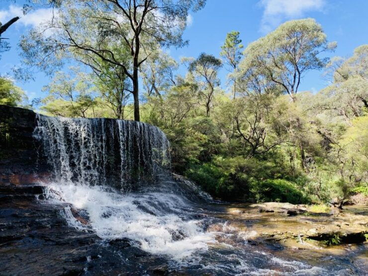 Sydney: Blue Mountains Featherdale and Wentworth Falls Tour - Booking Details