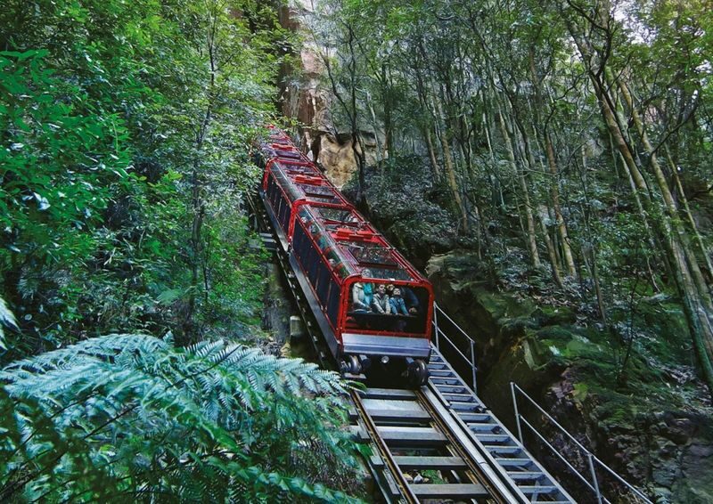 Sydney Blue Mountains Full-Day National Park Tour(Chinese Guide) - Scenic World brings the steep rides