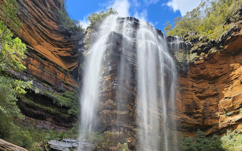 Sydney Blue Mountains Full-Day Small Group Waterfall Tour - Wildlife and small Australian tastes