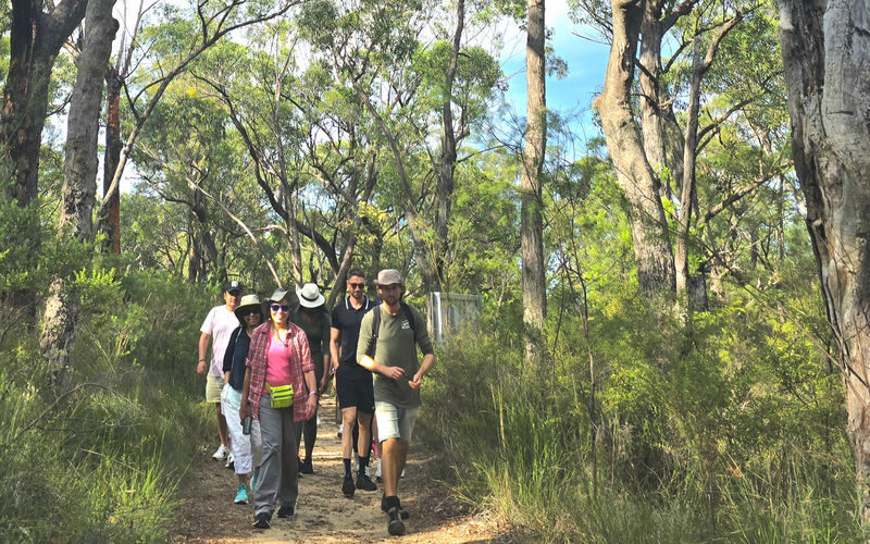 Sydney Blue Mountains Full-Day Small Group Waterfall Tour - Practical details before you book