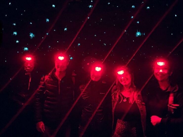 Sydney: Blue Mountains Glow Worms Wild Adventure by Night - Experience Highlights