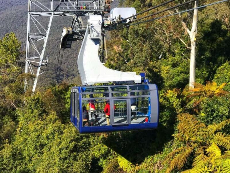 Sydney: Blue Mountains Half Day Scenic World & Lookout Tour - Exploring the Blue Mountains: A Practical Review of the Half Day Scenic World & Lookout Tour