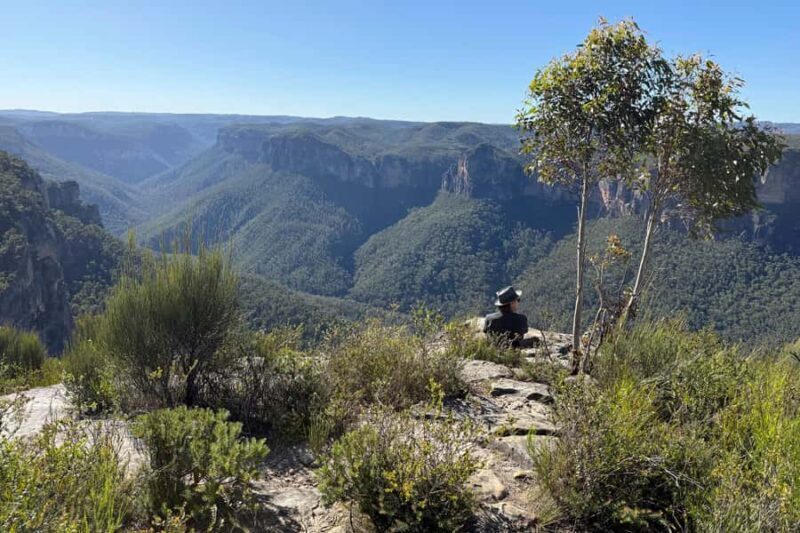 Sydney: Blue Mountains Kangaroos, Wilderness and Sunset Tour - Final Thoughts: Is This Tour Right for You?