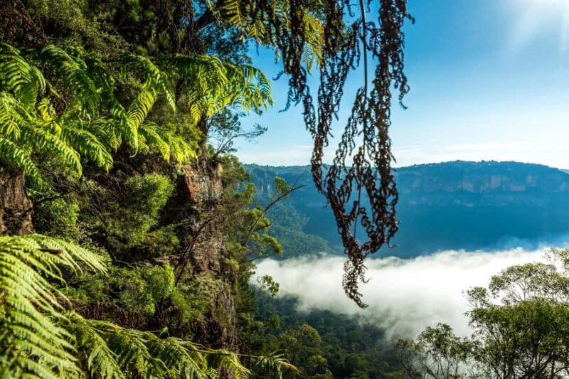 Sydney: Blue Mountains Late Start Tour with Walks & Wildlife - FAQs