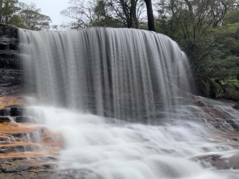 Sydney: Blue Mountains National Park Tour with River Cruise - Final Thoughts