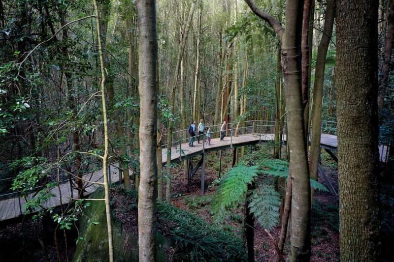 Sydney: Blue Mountains National Park Tour with River Cruise - Frequently Asked Questions