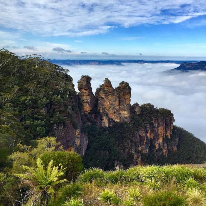 Sydney: Blue Mountains Private Wildlife Adventure Tour - Exploring the Blue Mountains with a Private Wildlife Adventure