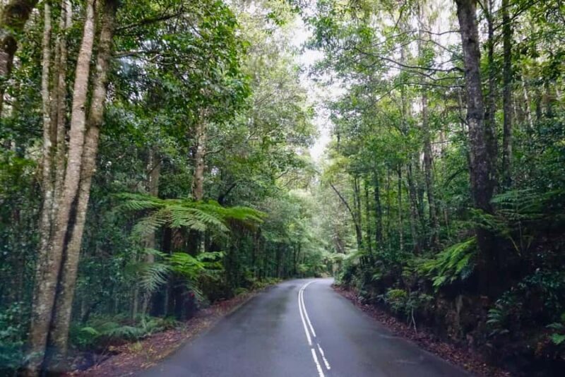 Sydney: Blue Mountains Private Wildlife Adventure Tour - Frequently Asked Questions